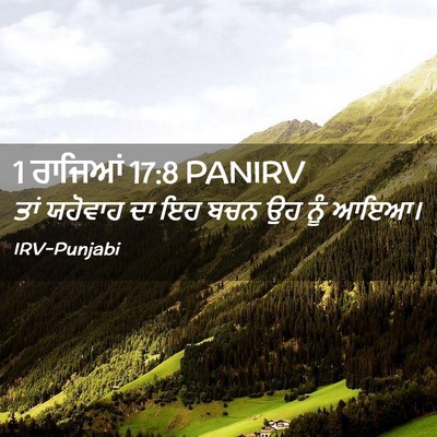 Picture 02 - 1 ਰਾਜਿਆਂ 17:8 PANIRV - ਤਾਂ ਯਹੋਵਾਹ ਦਾ ਇਹ - Bible Verse Picture