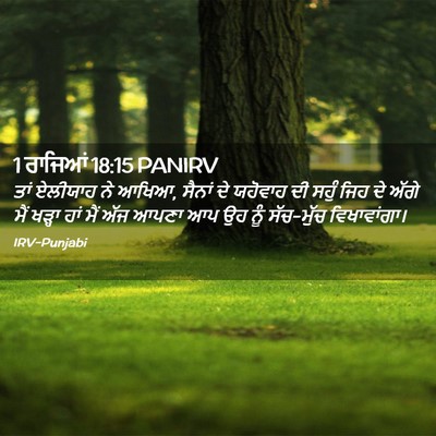 Picture 02 - 1 ਰਾਜਿਆਂ 18:15 PANIRV - ਤਾਂ ਏਲੀਯਾਹ ਨੇ ਆਖਿਆ, - Bible Verse Picture