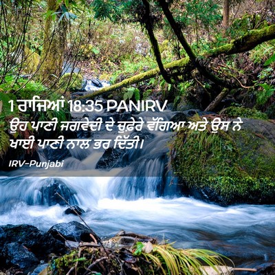 Picture 02 - 1 ਰਾਜਿਆਂ 18:35 PANIRV - ਉਹ ਪਾਣੀ ਜਗਵੇਦੀ ਦੇ - Bible Verse Picture