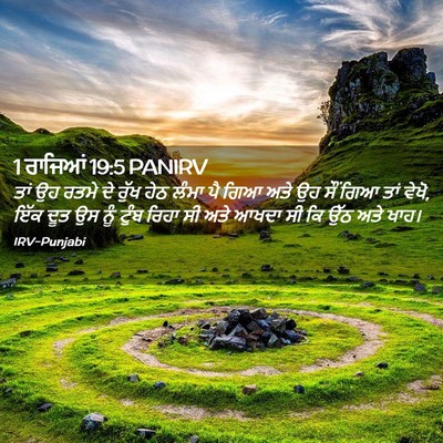 Picture 02 - 1 ਰਾਜਿਆਂ 19:5 PANIRV - ਤਾਂ ਉਹ ਰਤਮੇ ਦੇ ਰੁੱਖ - Bible Verse Picture