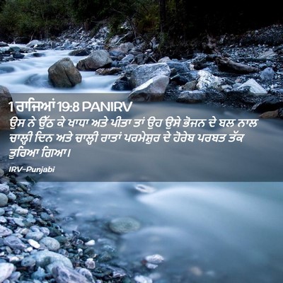Picture 02 - 1 ਰਾਜਿਆਂ 19:8 PANIRV - ਉਸ ਨੇ ਉੱਠ ਕੇ ਖਾਧਾ - Bible Verse Picture