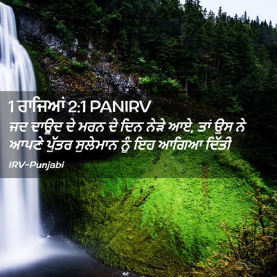 Picture 02 - 1 ਰਾਜਿਆਂ 2:1 PANIRV - ਜਦ ਦਾਊਦ ਦੇ ਮਰਨ ਦੇ - Bible Verse Picture