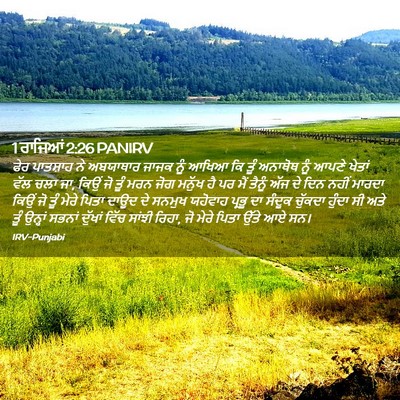 Picture 02 - 1 ਰਾਜਿਆਂ 2:26 PANIRV - ਫੇਰ ਪਾਤਸ਼ਾਹ ਨੇ - Bible Verse Picture