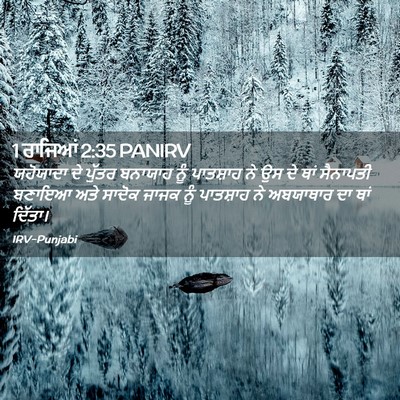 Picture 02 - 1 ਰਾਜਿਆਂ 2:35 PANIRV - ਯਹੋਯਾਦਾ ਦੇ ਪੁੱਤਰ - Bible Verse Picture