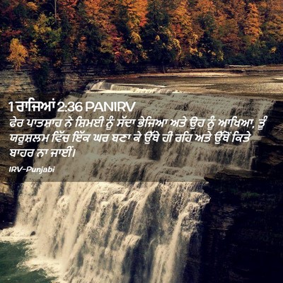 Picture 02 - 1 ਰਾਜਿਆਂ 2:36 PANIRV - ਫੇਰ ਪਾਤਸ਼ਾਹ ਨੇ - Bible Verse Picture