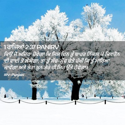Picture 02 - 1 ਰਾਜਿਆਂ 2:37 PANIRV - ਕਿਉਂ ਜੋ ਅਜਿਹਾ - Bible Verse Picture