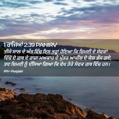 Picture 02 - 1 ਰਾਜਿਆਂ 2:39 PANIRV - ਤੀਜੇ ਸਾਲ ਦੇ ਅੰਤ - Bible Verse Picture