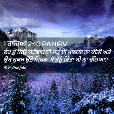 Picture 02 - 1 ਰਾਜਿਆਂ 2:43 PANIRV - ਫੇਰ ਤੂੰ ਕਿਉਂ - Bible Verse Picture