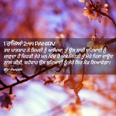 Picture 02 - 1 ਰਾਜਿਆਂ 2:44 PANIRV - ਤਦ ਪਾਤਸ਼ਾਹ ਨੇ - Bible Verse Picture