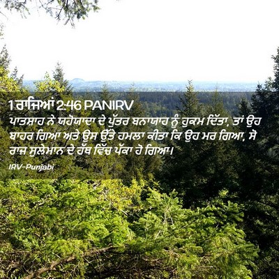 Picture 02 - 1 ਰਾਜਿਆਂ 2:46 PANIRV - ਪਾਤਸ਼ਾਹ ਨੇ - Bible Verse Picture