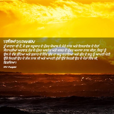 Picture 02 - 1 ਰਾਜਿਆਂ 2:5 PANIRV - ਤੂੰ ਜਾਣਦਾ ਵੀ ਹੈਂ, - Bible Verse Picture