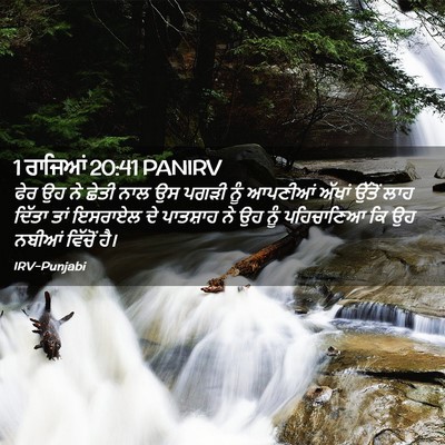 Picture 02 - 1 ਰਾਜਿਆਂ 20:41 PANIRV - ਫੇਰ ਉਹ ਨੇ ਛੇਤੀ ਨਾਲ - Bible Verse Picture