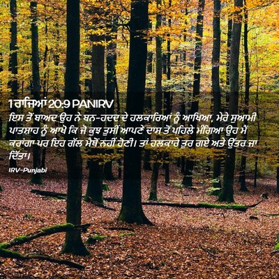 Picture 02 - 1 ਰਾਜਿਆਂ 20:9 PANIRV - ਇਸ ਤੋਂ ਬਾਅਦ ਉਹ ਨੇ - Bible Verse Picture