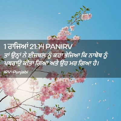 Picture 02 - 1 ਰਾਜਿਆਂ 21:14 PANIRV - ਤਾਂ ਉਨ੍ਹਾਂ ਨੇ - Bible Verse Picture