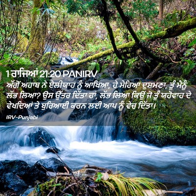 Picture 02 - 1 ਰਾਜਿਆਂ 21:20 PANIRV - ਅੱਗੋਂ ਅਹਾਬ ਨੇ - Bible Verse Picture