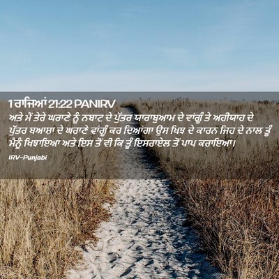 Picture 02 - 1 ਰਾਜਿਆਂ 21:22 PANIRV - ਅਤੇ ਮੈਂ ਤੇਰੇ ਘਰਾਣੇ - Bible Verse Picture