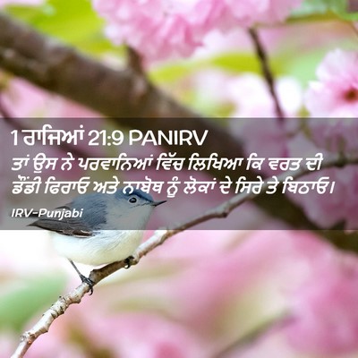Picture 02 - 1 ਰਾਜਿਆਂ 21:9 PANIRV - ਤਾਂ ਉਸ ਨੇ ਪਰਵਾਨਿਆਂ - Bible Verse Picture
