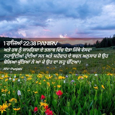 Picture 02 - 1 ਰਾਜਿਆਂ 22:38 PANIRV - ਅਤੇ ਰਥ ਨੂੰ ਸਾਮਰਿਯਾ - Bible Verse Picture