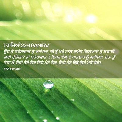 Picture 02 - 1 ਰਾਜਿਆਂ 22:4 PANIRV - ਉਹ ਨੇ ਯਹੋਸ਼ਾਫ਼ਾਤ - Bible Verse Picture