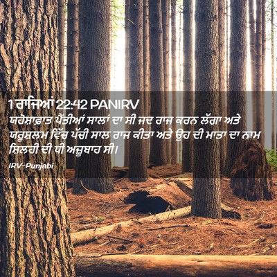 Picture 02 - 1 ਰਾਜਿਆਂ 22:42 PANIRV - ਯਹੋਸ਼ਾਫ਼ਾਤ - Bible Verse Picture