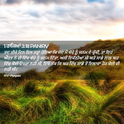 Picture 02 - 1 ਰਾਜਿਆਂ 3:18 PANIRV - ਤਦ ਤੀਜੇ ਦਿਨ ਇਸ - Bible Verse Picture