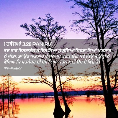 Picture 02 - 1 ਰਾਜਿਆਂ 3:28 PANIRV - ਤਦ ਸਾਰੇ ਇਸਰਾਏਲ ਨੇ - Bible Verse Picture