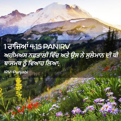 Picture 02 - 1 ਰਾਜਿਆਂ 4:15 PANIRV - ਅਹੀਮਅਸ ਨਫ਼ਤਾਲੀ - Bible Verse Picture