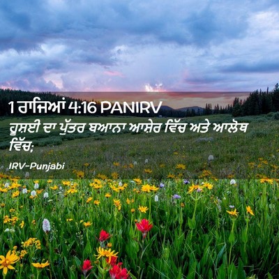 Picture 02 - 1 ਰਾਜਿਆਂ 4:16 PANIRV - ਹੂਸ਼ਈ ਦਾ ਪੁੱਤਰ - Bible Verse Picture