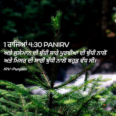 Picture 02 - 1 ਰਾਜਿਆਂ 4:30 PANIRV - ਅਤੇ ਸੁਲੇਮਾਨ ਦੀ - Bible Verse Picture