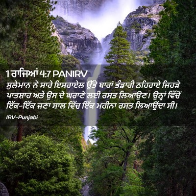 Picture 02 - 1 ਰਾਜਿਆਂ 4:7 PANIRV - ਸੁਲੇਮਾਨ ਨੇ ਸਾਰੇ - Bible Verse Picture