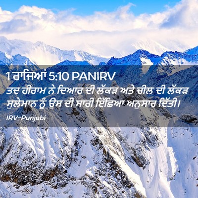 Picture 02 - 1 ਰਾਜਿਆਂ 5:10 PANIRV - ਤਦ ਹੀਰਾਮ ਨੇ ਦਿਆਰ ਦੀ - Bible Verse Picture