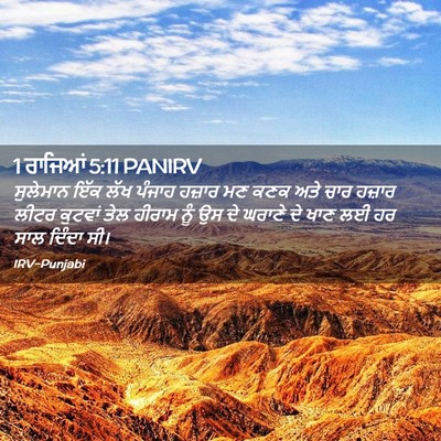 Picture 02 - 1 ਰਾਜਿਆਂ 5:11 PANIRV - ਸੁਲੇਮਾਨ ਇੱਕ ਲੱਖ - Bible Verse Picture