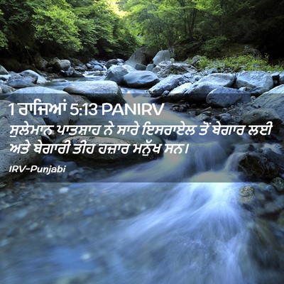 Picture 02 - 1 ਰਾਜਿਆਂ 5:13 PANIRV - ਸੁਲੇਮਾਨ ਪਾਤਸ਼ਾਹ - Bible Verse Picture