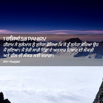 Picture 02 - 1 ਰਾਜਿਆਂ 5:8 PANIRV - ਹੀਰਾਮ ਨੇ ਸੁਲੇਮਾਨ - Bible Verse Picture