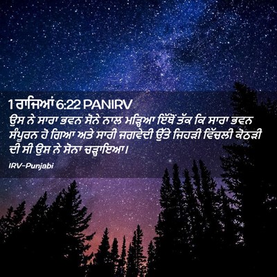 Picture 02 - 1 ਰਾਜਿਆਂ 6:22 PANIRV - ਉਸ ਨੇ ਸਾਰਾ ਭਵਨ ਸੋਨੇ - Bible Verse Picture
