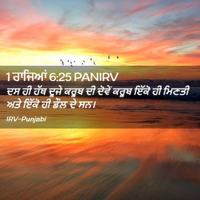 Picture 02 - 1 ਰਾਜਿਆਂ 6:25 PANIRV - ਦਸ ਹੀ ਹੱਥ ਦੂਜੇ ਕਰੂਬ - Bible Verse Picture