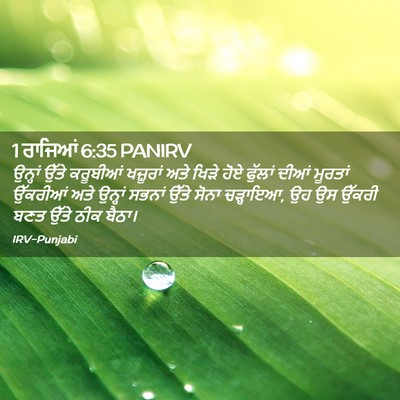 Picture 02 - 1 ਰਾਜਿਆਂ 6:35 PANIRV - ਉਨ੍ਹਾਂ ਉੱਤੇ - Bible Verse Picture