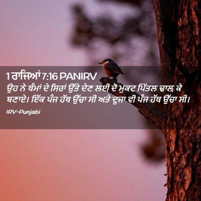 Picture 02 - 1 ਰਾਜਿਆਂ 7:16 PANIRV - ਉਹ ਨੇ ਥੰਮਾਂ ਦੇ - Bible Verse Picture