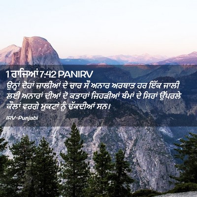 Picture 02 - 1 ਰਾਜਿਆਂ 7:42 PANIRV - ਉਨ੍ਹਾਂ ਦੋਹਾਂ - Bible Verse Picture