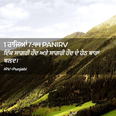 Picture 02 - 1 ਰਾਜਿਆਂ 7:44 PANIRV - ਇੱਕ ਸਾਗਰੀ ਹੌਦ ਅਤੇ - Bible Verse Picture