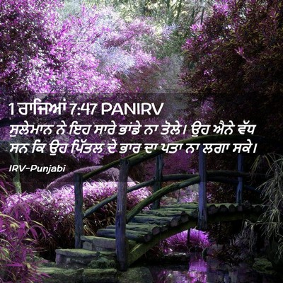 Picture 02 - 1 ਰਾਜਿਆਂ 7:47 PANIRV - ਸੁਲੇਮਾਨ ਨੇ ਇਹ ਸਾਰੇ - Bible Verse Picture