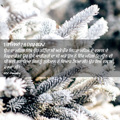 Picture 02 - 1 ਰਾਜਿਆਂ 7:8 PANIRV - ਉਸ ਦਾ ਮਹਿਲ ਜਿੱਥੇ ਉਹ - Bible Verse Picture