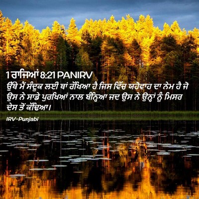 Picture 02 - 1 ਰਾਜਿਆਂ 8:21 PANIRV - ਉੱਥੇ ਮੈਂ ਸੰਦੂਕ ਲਈ - Bible Verse Picture