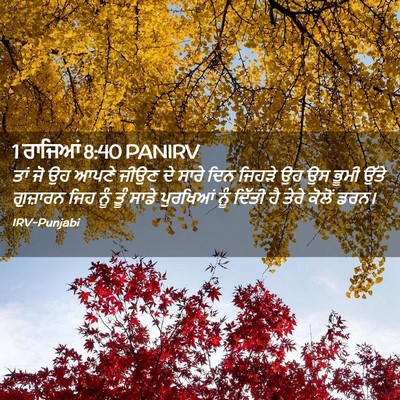 Picture 02 - 1 ਰਾਜਿਆਂ 8:40 PANIRV - ਤਾਂ ਜੋ ਉਹ ਆਪਣੇ ਜੀਉਣ - Bible Verse Picture