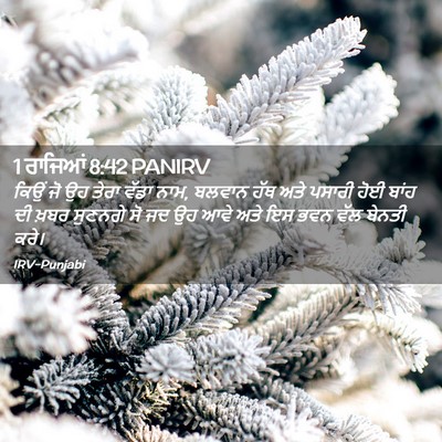 Picture 02 - 1 ਰਾਜਿਆਂ 8:42 PANIRV - ਕਿਉਂ ਜੋ ਉਹ ਤੇਰਾ - Bible Verse Picture