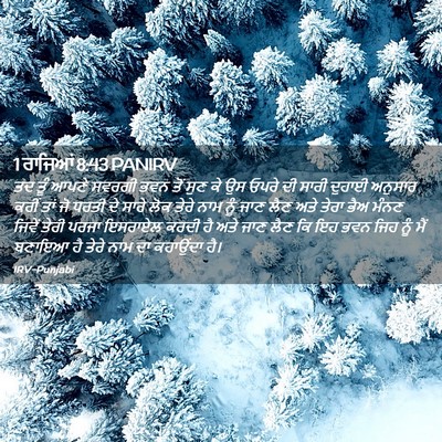 Picture 02 - 1 ਰਾਜਿਆਂ 8:43 PANIRV - ਤਦ ਤੂੰ ਆਪਣੇ ਸਵਰਗੀ - Bible Verse Picture
