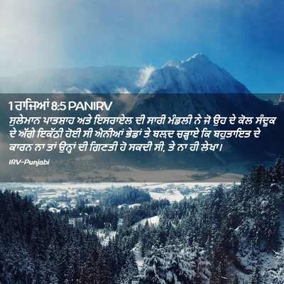 Picture 02 - 1 ਰਾਜਿਆਂ 8:5 PANIRV - ਸੁਲੇਮਾਨ ਪਾਤਸ਼ਾਹ - Bible Verse Picture
