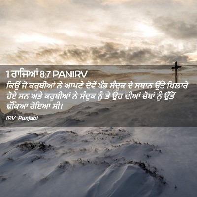 Picture 02 - 1 ਰਾਜਿਆਂ 8:7 PANIRV - ਕਿਉਂ ਜੋ ਕਰੂਬੀਆਂ ਨੇ - Bible Verse Picture
