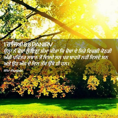 Picture 02 - 1 ਰਾਜਿਆਂ 8:8 PANIRV - ਉਨ੍ਹਾਂ ਨੇ ਚੋਬਾਂ - Bible Verse Picture