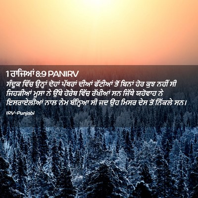 Picture 02 - 1 ਰਾਜਿਆਂ 8:9 PANIRV - ਸੰਦੂਕ ਵਿੱਚ ਉਨ੍ਹਾਂ - Bible Verse Picture